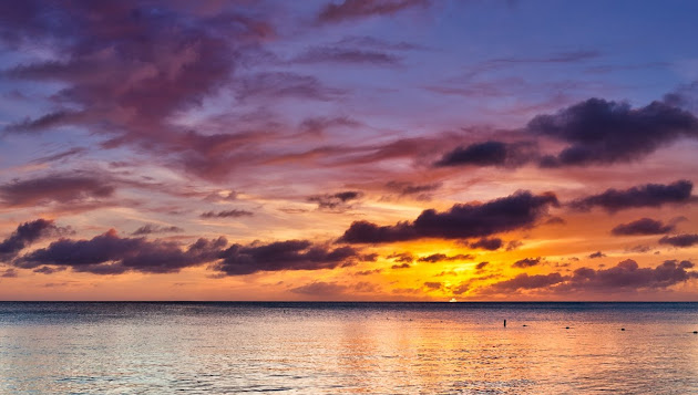 Cover photo