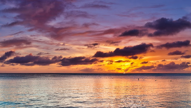 Cover photo