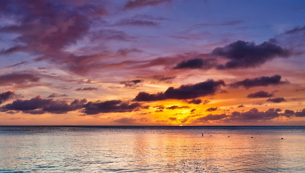 Cover photo