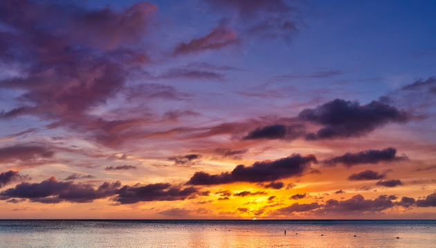Cover photo