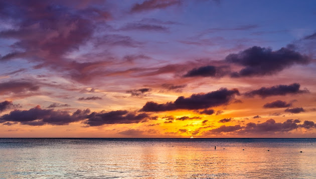 Cover photo