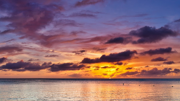 Cover photo