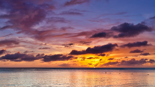 Cover photo