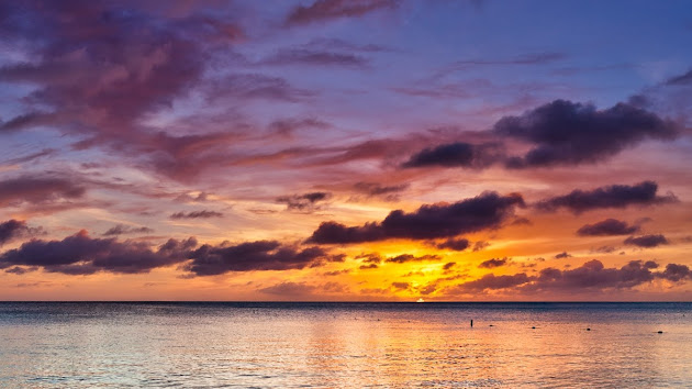 Cover photo