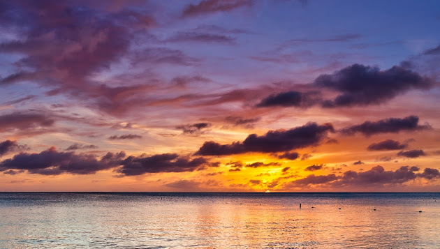 Cover photo