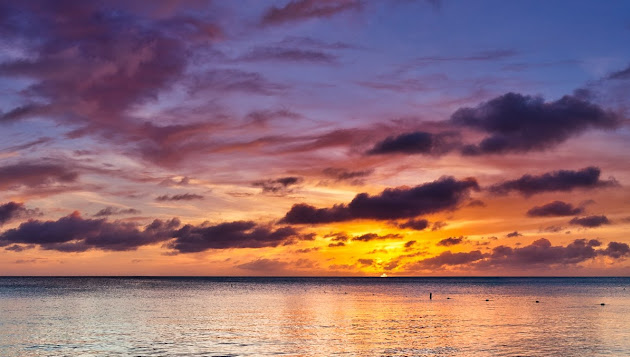 Cover photo