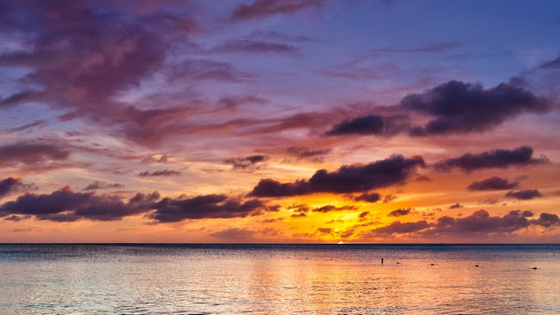 Cover photo