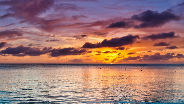 Cover photo