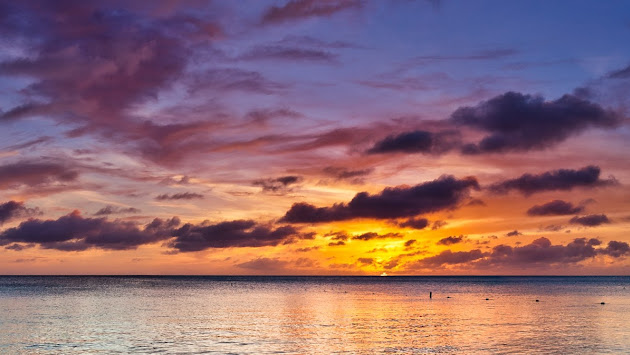 Cover photo