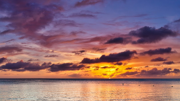Cover photo