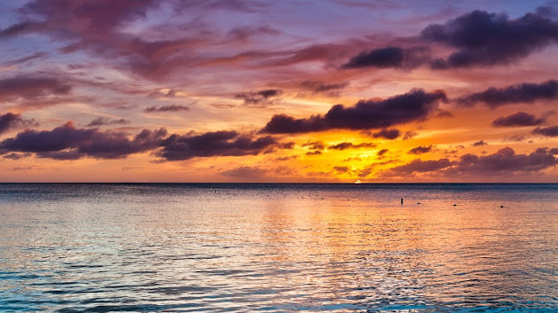 Cover photo