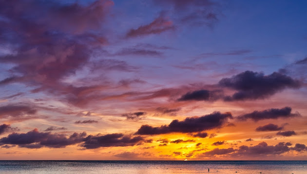 Cover photo
