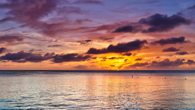 Cover photo