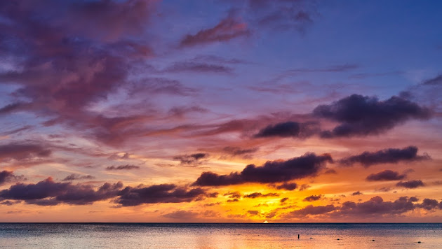Cover photo