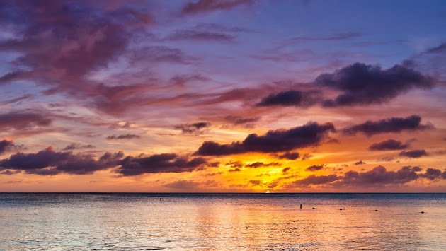 Cover photo