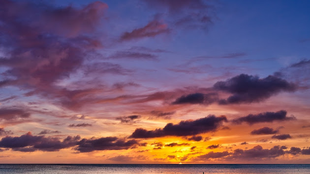 Cover photo