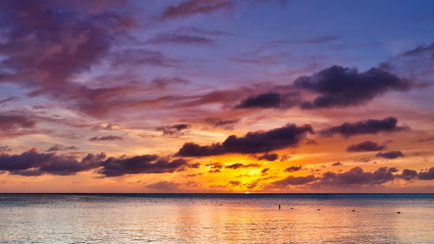 Cover photo