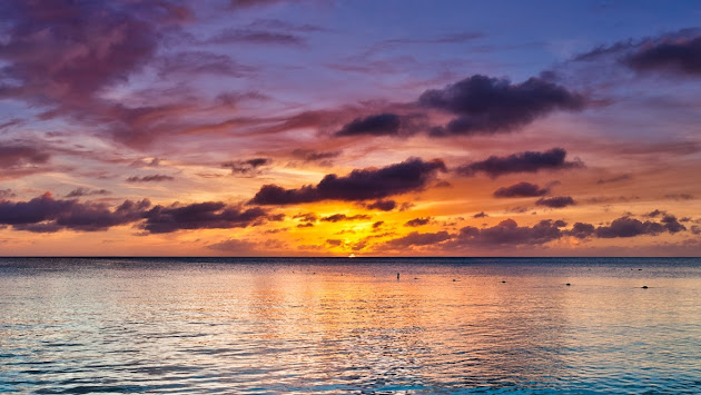 Cover photo