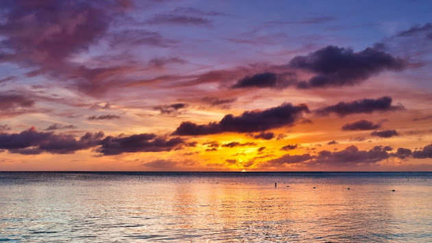 Cover photo