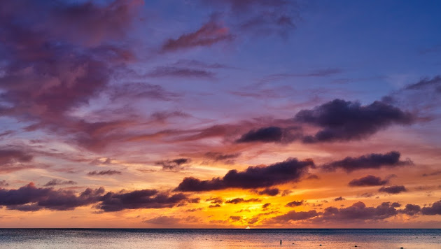 Cover photo