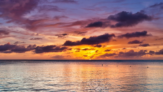 Cover photo