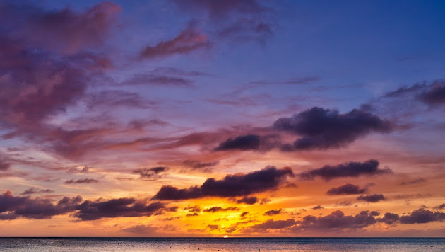 Cover photo