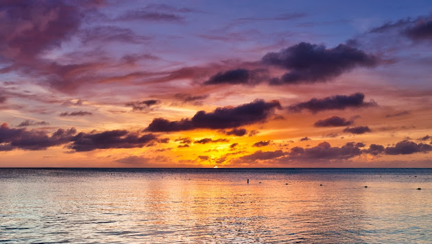 Cover photo