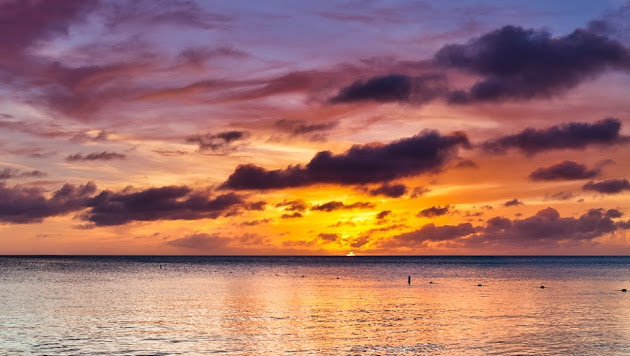 Cover photo