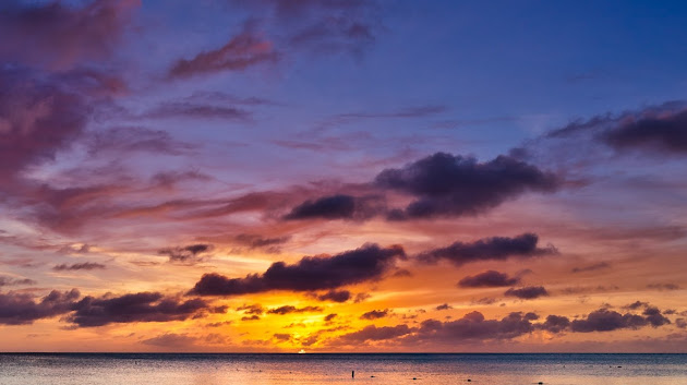 Cover photo