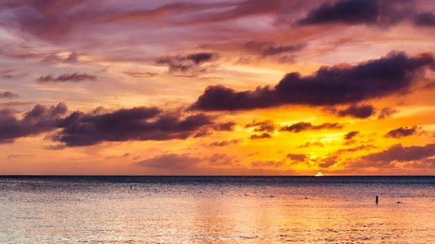 Cover photo