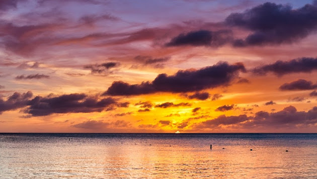 Cover photo