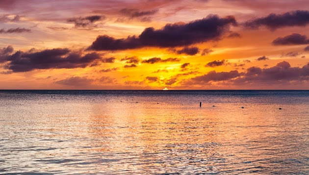 Cover photo