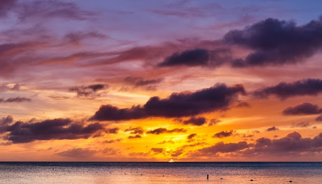Cover photo