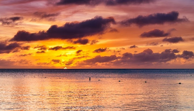 Cover photo