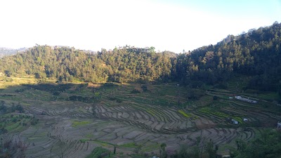 Photos of Kashi Bisheshwor Home Stay