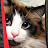 Snuffy's Cat Production