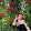 Eva Elafi Eva Elafi's profile photo