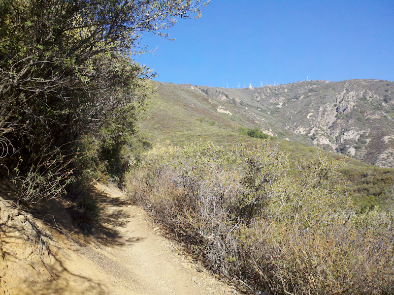 Santiago Peak • Lower Holy Jim Trail