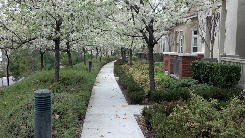 Cover photo
