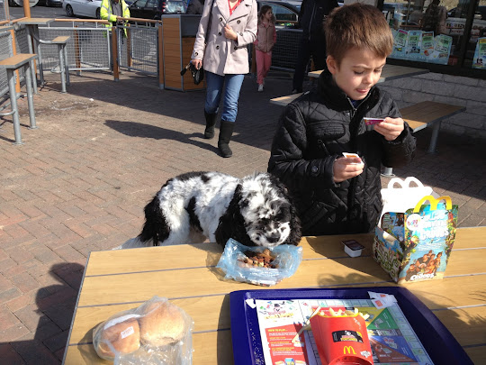 Ben Roters and Charlie Brown American cocker spaniel 