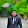 PAMUDIKA MALSHAN WANNIARACHCHI PAMUDIKA MALSHAN WANNIARACHCHI's profile photo