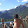 diego bacarin diego bacarin's profile photo