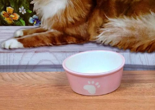  PETS BOWL CERAMIC PINK BONE WITH PAWS CAT FEEDER PINK BOWL, 80552 BY ACK