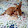 micky ding micky ding's profile photo