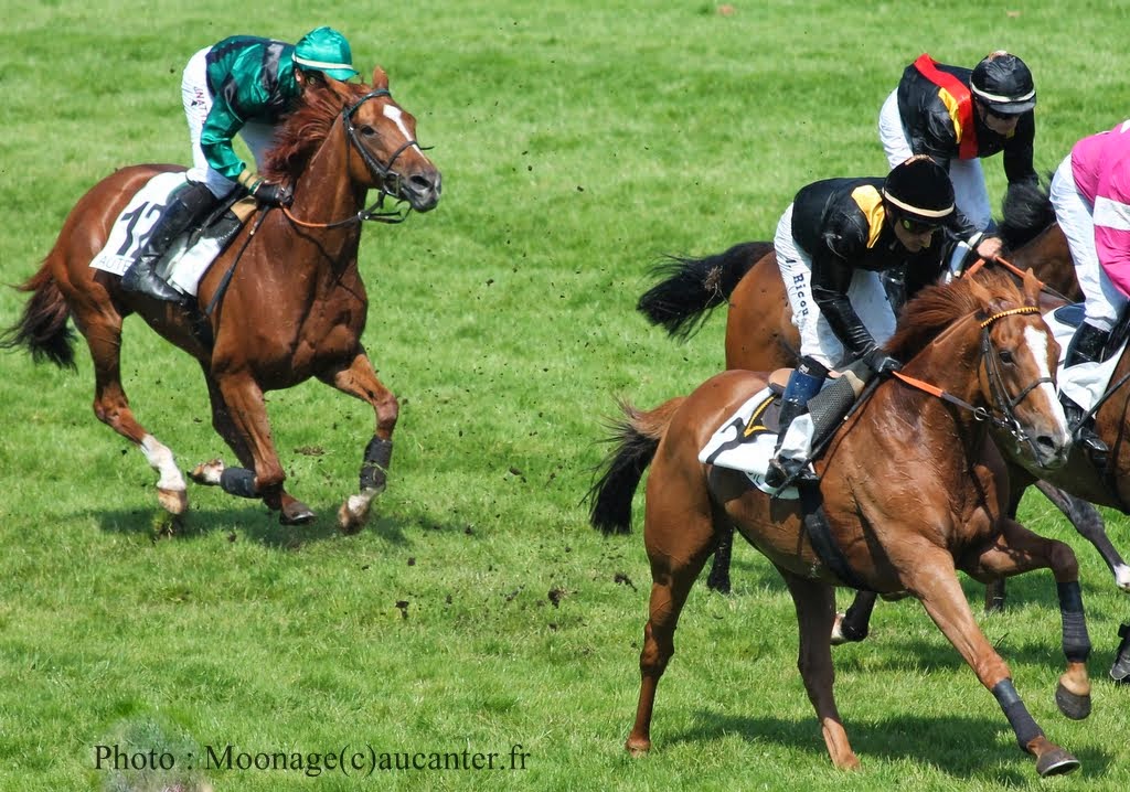 Photos Auteuil 8-06-2014  - Page 2 IMG_1889