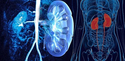 Photos of Dr. Felice Fiore - Urologo Andrologo