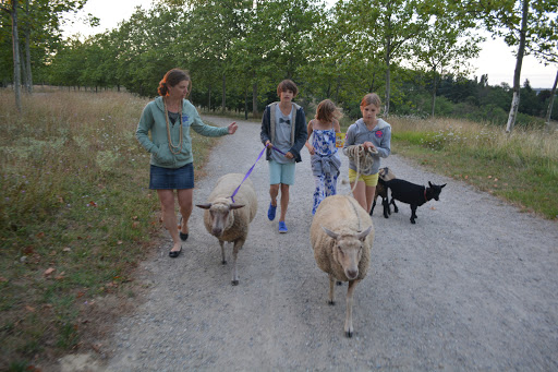 Ferme Habitat Solidaire