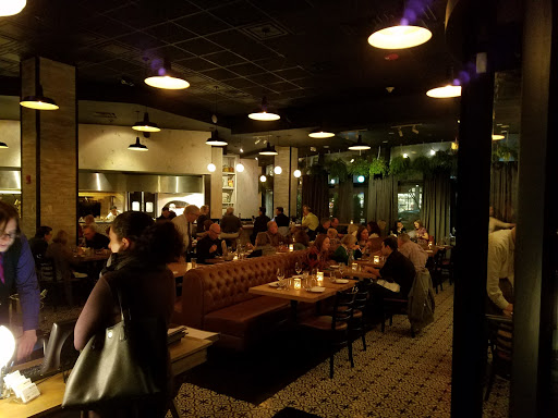 Italian Restaurant «Terra & Vine», reviews and photos, 1701 Maple Ave, Evanston, IL 60201, USA