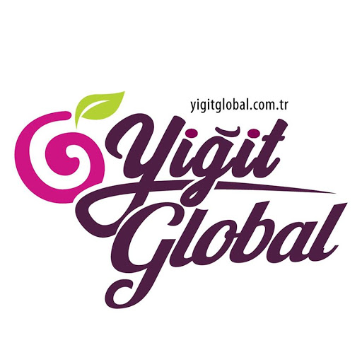 Yiğit Global Dış Ticaret San.Tic.Ltd.Şti logo