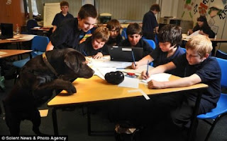 Ένα σκυλί έβαλε σε τάξη άτακτους μαθητές!